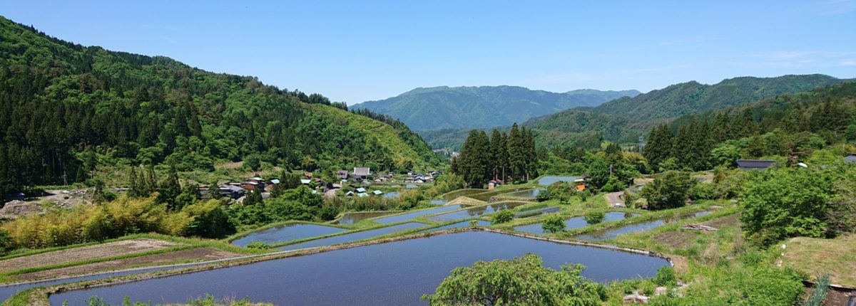 六ノ里通信ブログ