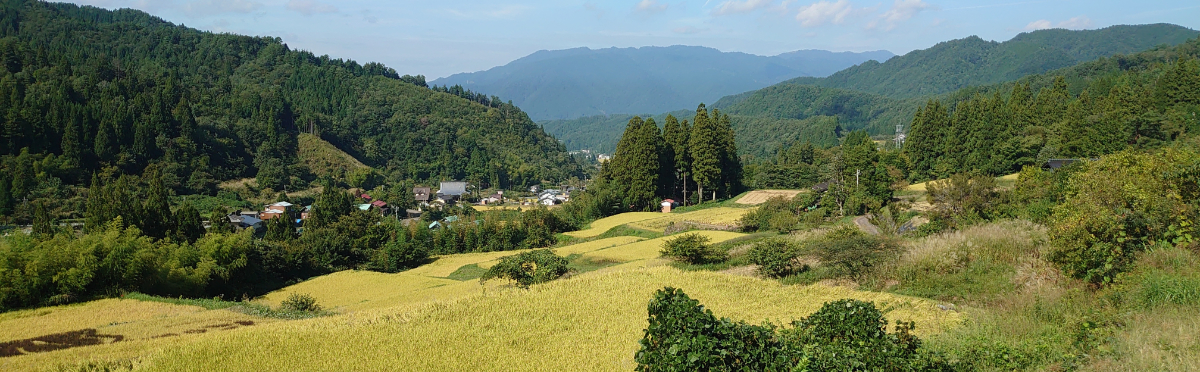 六ノ里通信ブログ